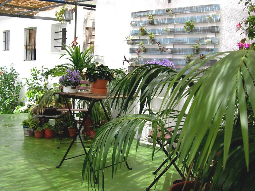 Apartamentos Calypso Punta Umbría Екстериор снимка